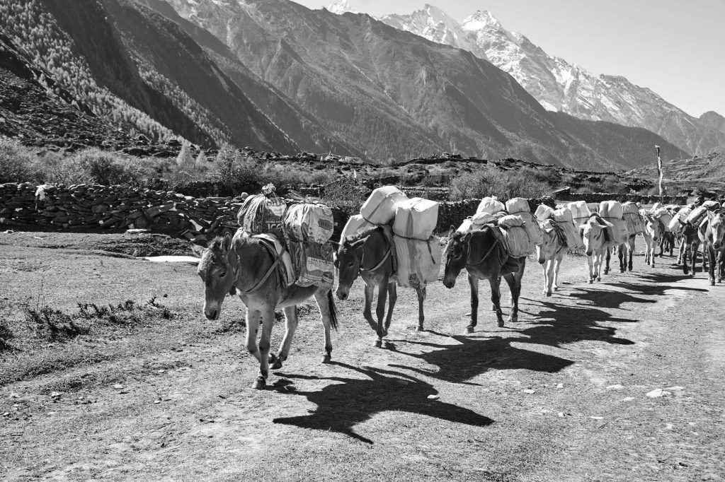 Chay Ya Nepal – Tsum Valley